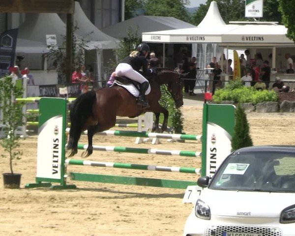 Reitturnier Hellefeld 2025