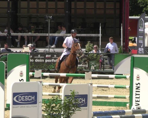 Reitturnier Hellefeld 2025