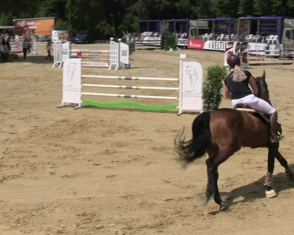 Reitturnier Hellefeld 2025
