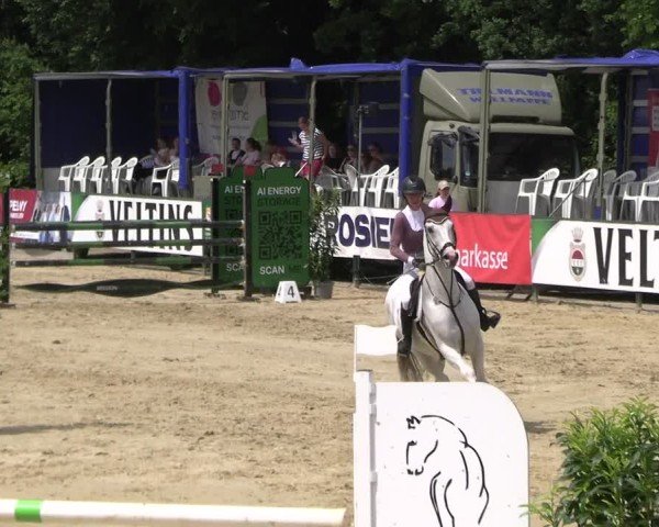 Reitturnier Hellefeld 2025