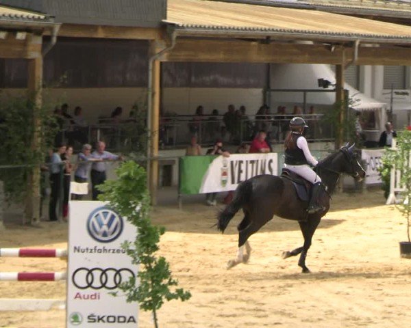 Reitturnier Hellefeld 2025