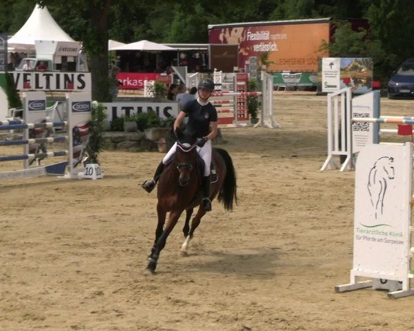 Reitturnier Hellefeld 2025