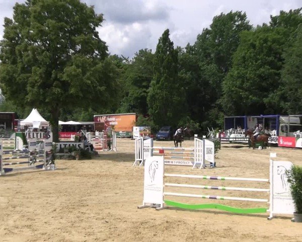 Reitturnier Hellefeld 2025