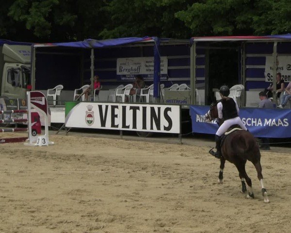 Reitturnier Hellefeld 2025
