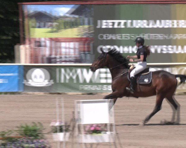 Reitturnier Lassee 2025