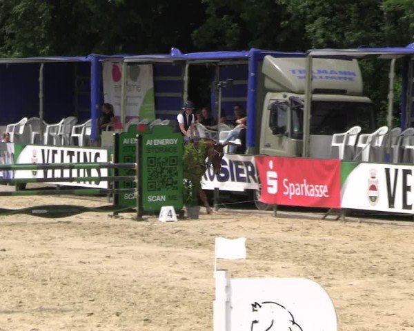 Reitturnier Hellefeld 2025