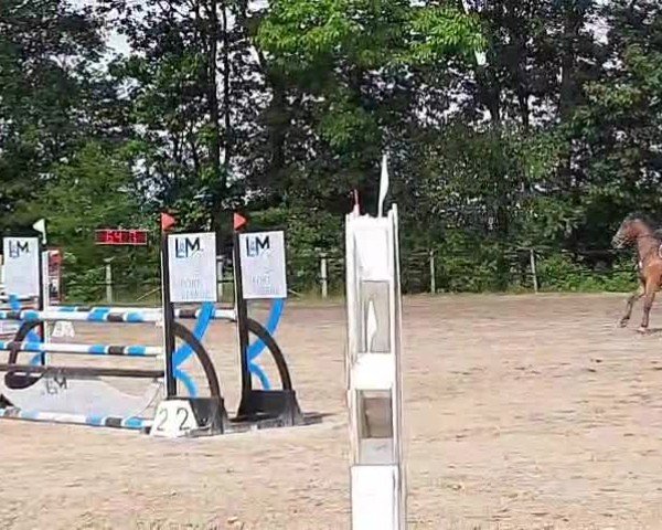 Video of Oreo-Sitte