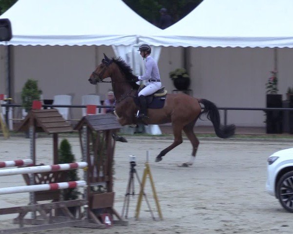 Reitturnier Hamm-Rhynern 2025