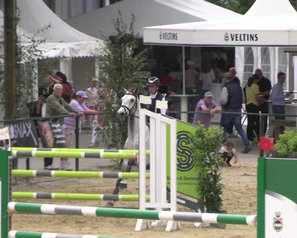 Reitturnier Hellefeld 2025