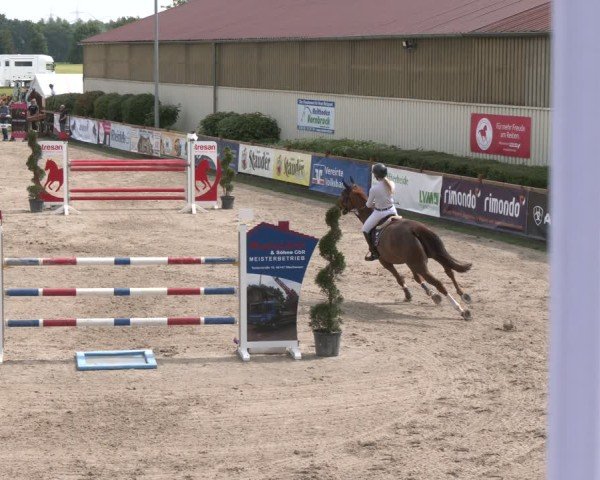 Reitturnier Kirchhellen/Stall Dieckmann 2025