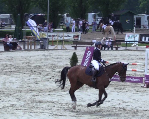 Reitturnier Hamm-Rhynern 2025