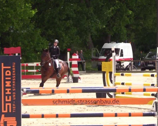Reitturnier Kropp 2025