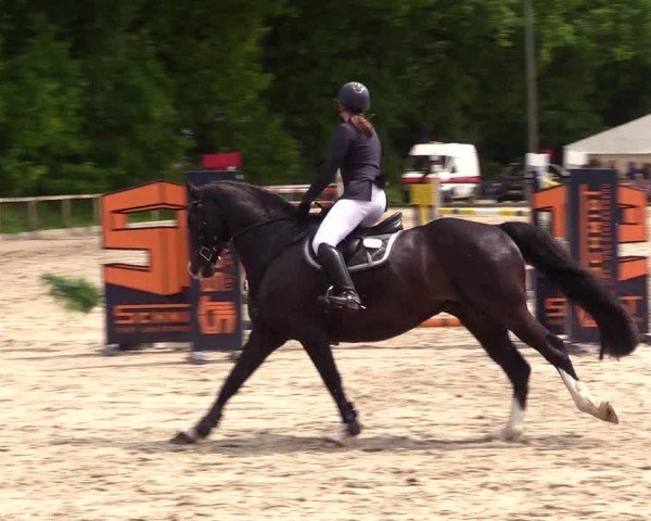 Reitturnier Kropp 2025