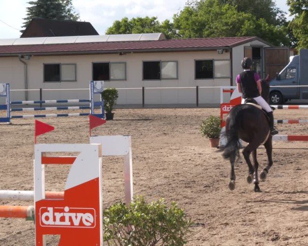 Reitturnier Kitzscher / Reitanlage Heuter 2025