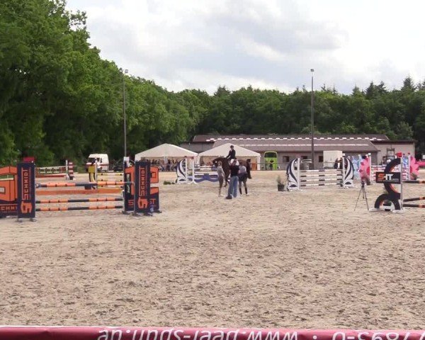 Reitturnier Kropp 2025
