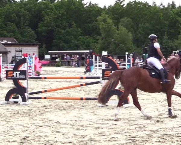 Reitturnier Kropp 2025