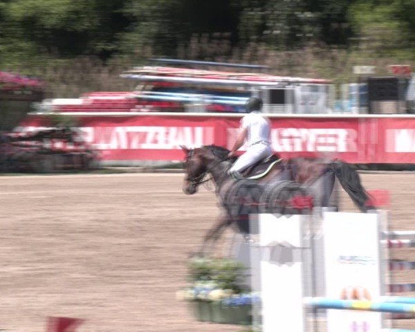Reitturnier Lassee 2025
