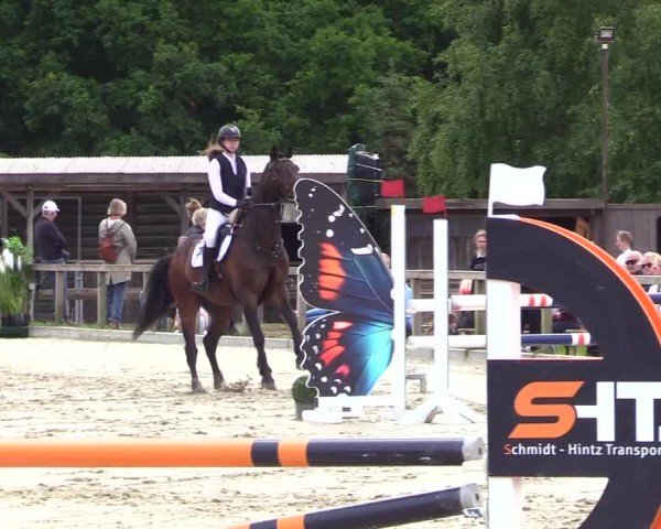 Reitturnier Kropp 2025