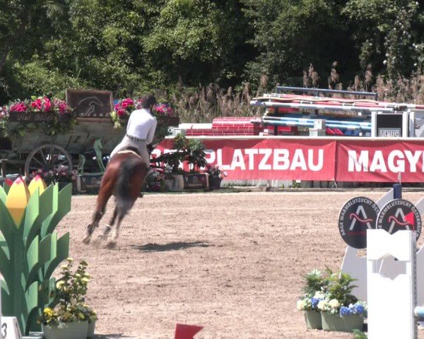 Reitturnier Lassee 2025