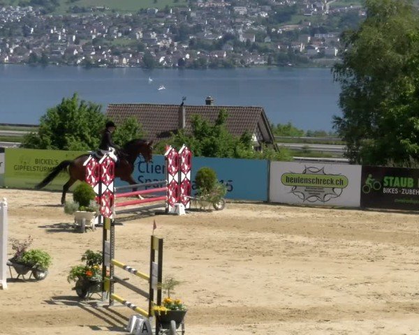 Reitturnier Wädenswil 2025