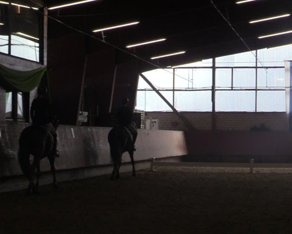Reitturnier Hellefeld 2025