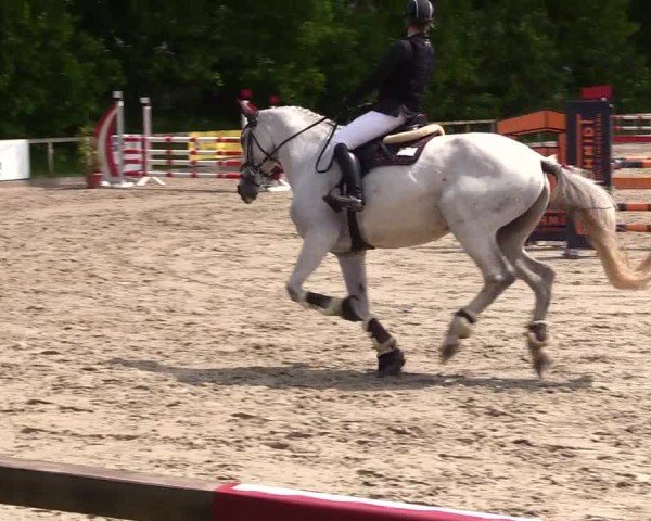 Reitturnier Kropp 2025
