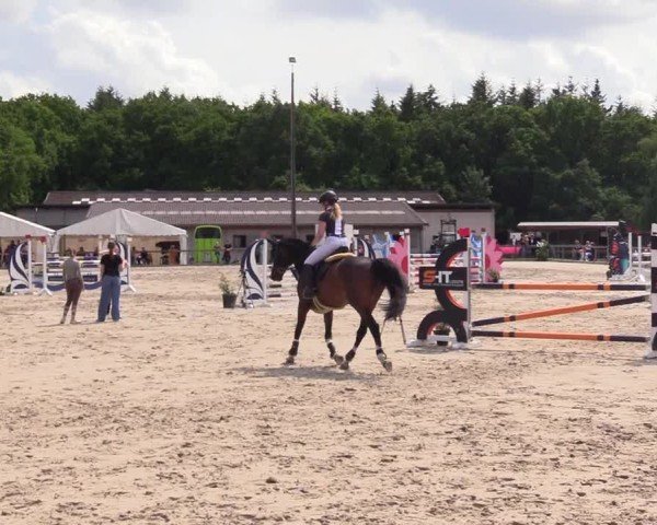 Reitturnier Kropp 2025