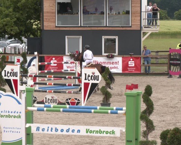 Reitturnier Kirchhellen/Stall Dieckmann 2025