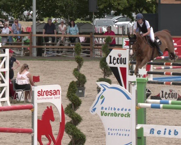 Reitturnier Kirchhellen/Stall Dieckmann 2025