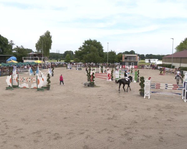 Reitturnier Kirchhellen/Stall Dieckmann 2025