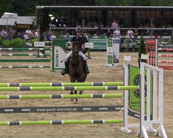 Reitturnier Hellefeld 2025