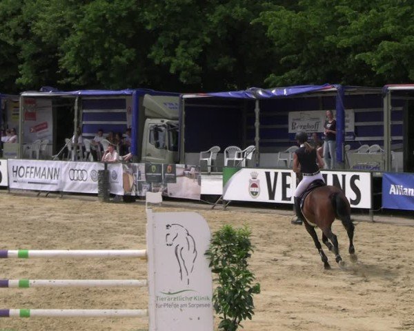 Reitturnier Hellefeld 2025
