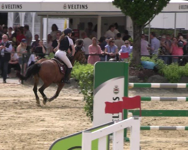 Reitturnier Hellefeld 2025
