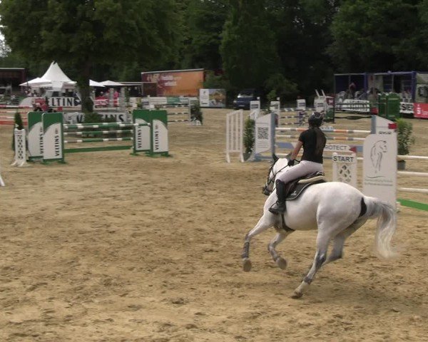 Reitturnier Hellefeld 2025