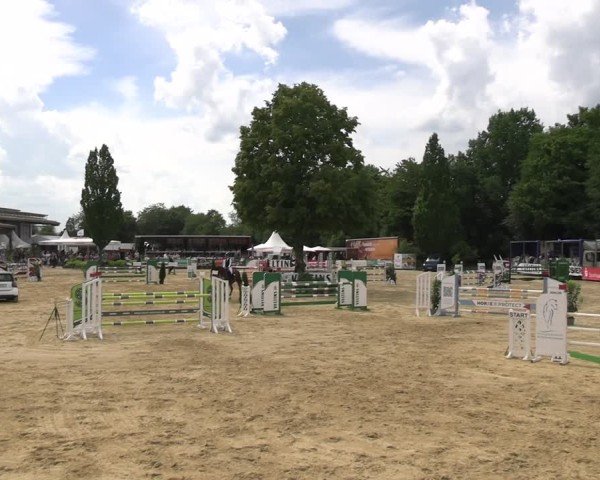 Reitturnier Hellefeld 2025