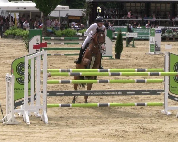Reitturnier Hellefeld 2025
