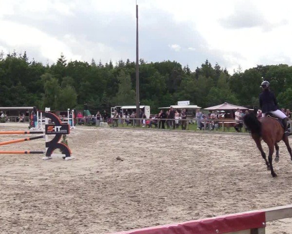 Reitturnier Kropp 2025