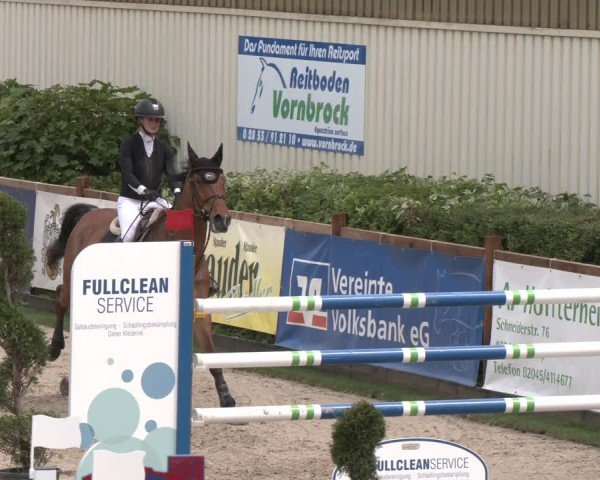 Reitturnier Kirchhellen/Stall Dieckmann 2025