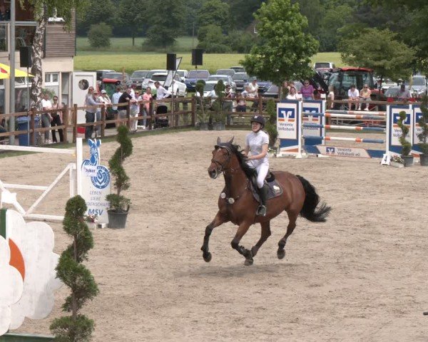 Reitturnier Kirchhellen/Stall Dieckmann 2025
