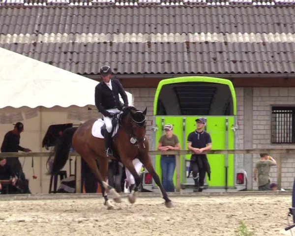 Reitturnier Kropp 2025