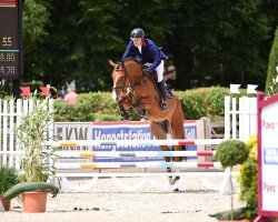jumper Cansputin (Holsteiner, 2015, from Canstakko)