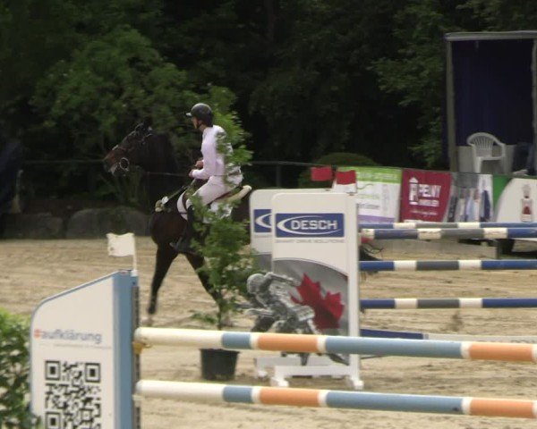 Reitturnier Hellefeld 2025