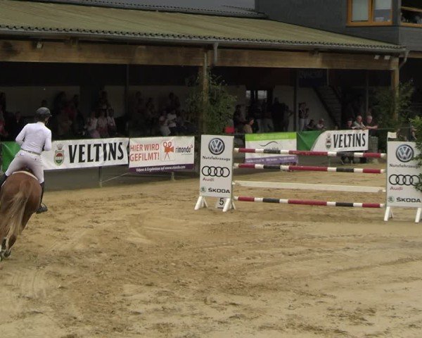 Reitturnier Hellefeld 2025