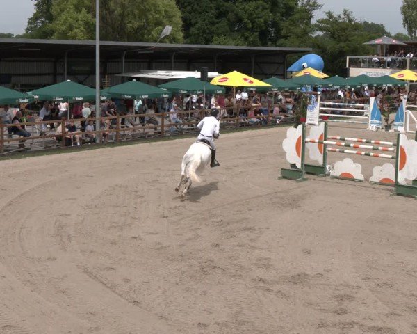 Reitturnier Kirchhellen/Stall Dieckmann 2025