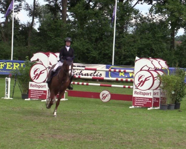 Reitturnier Scharnebeck 2025