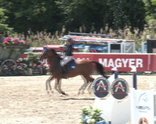 Reitturnier Lassee 2025