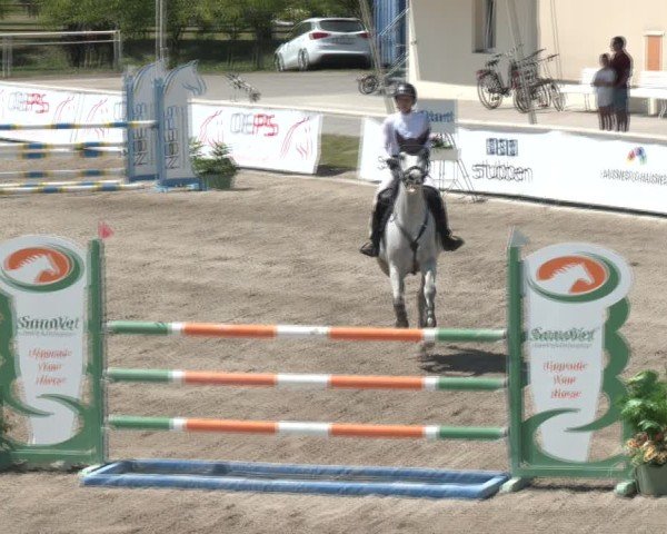 Reitturnier Lassee 2025
