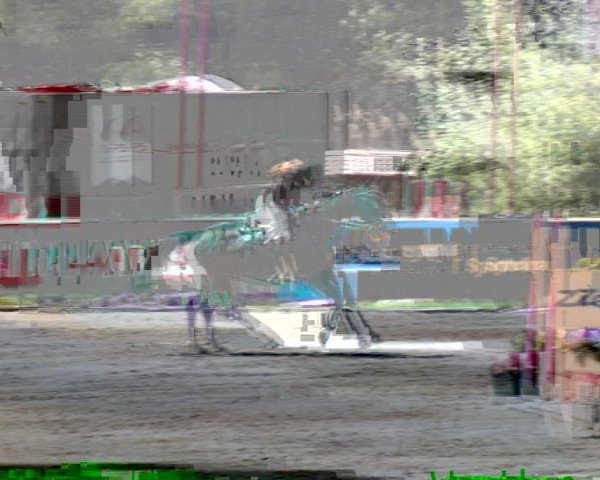 Reitturnier Lassee 2025
