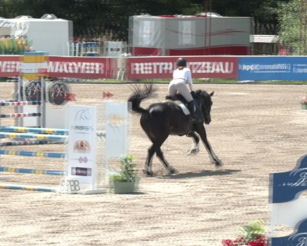 Reitturnier Lassee 2025