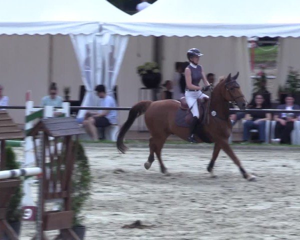 Reitturnier Hamm-Rhynern 2025